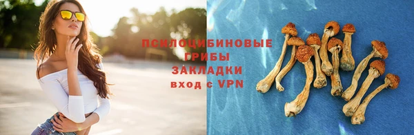 амф Балахна