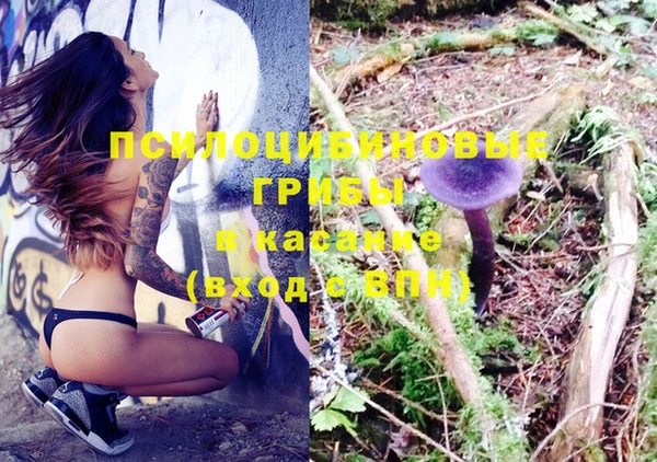 прущие грибы Баксан
