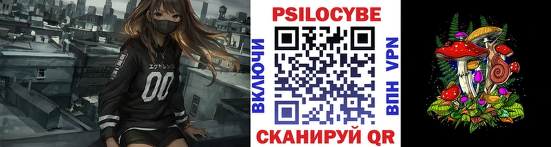как найти закладки  Иланский  Псилоцибиновые грибы прущие грибы 